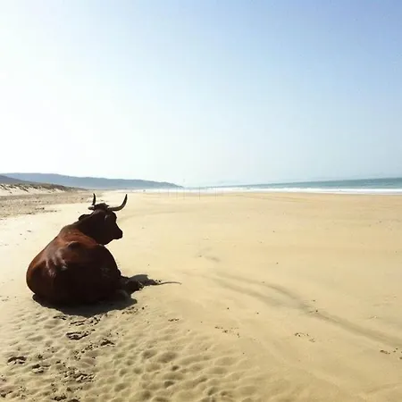 Colores De Zahara Hotel 2*